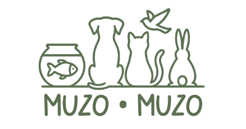 Logo transparent Muzo • Muzo