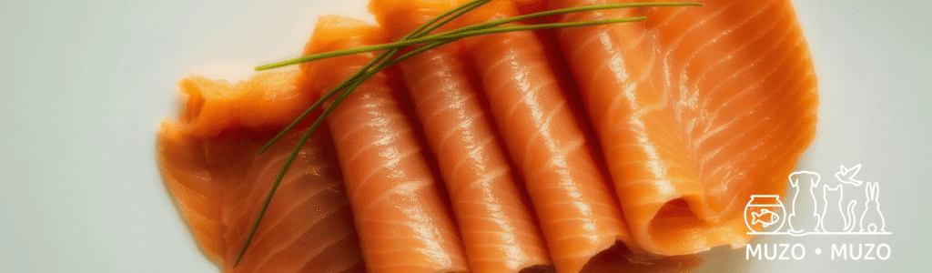 Peut-on donner du saumon fumé à un chien ?